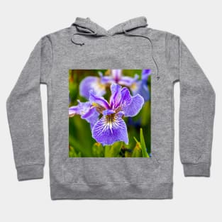 Purple Iris Flower Hoodie